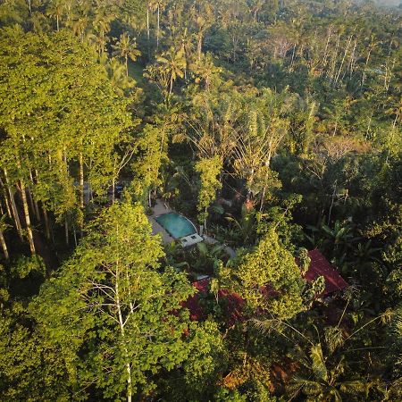 Daydream Lodge Tampaksiring Екстер'єр фото