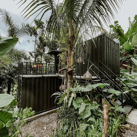 Daydream Lodge Tampaksiring Екстер'єр фото