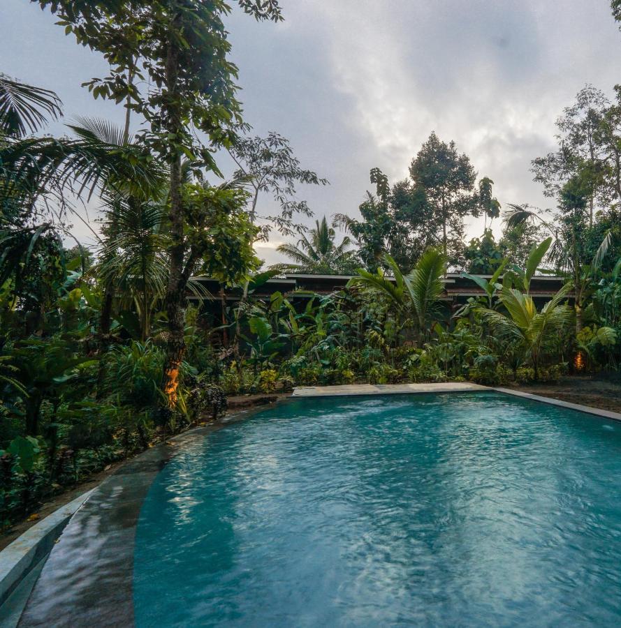 Daydream Lodge Tampaksiring Екстер'єр фото
