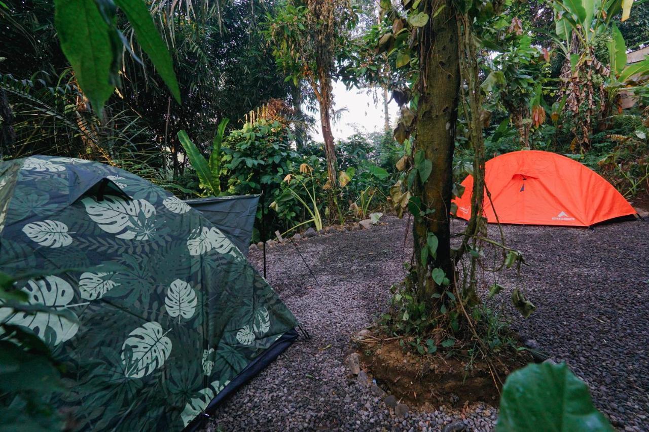 Daydream Lodge Tampaksiring Екстер'єр фото