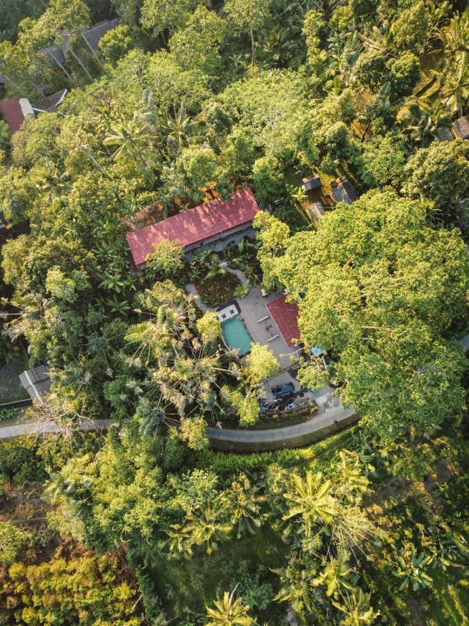 Daydream Lodge Tampaksiring Екстер'єр фото
