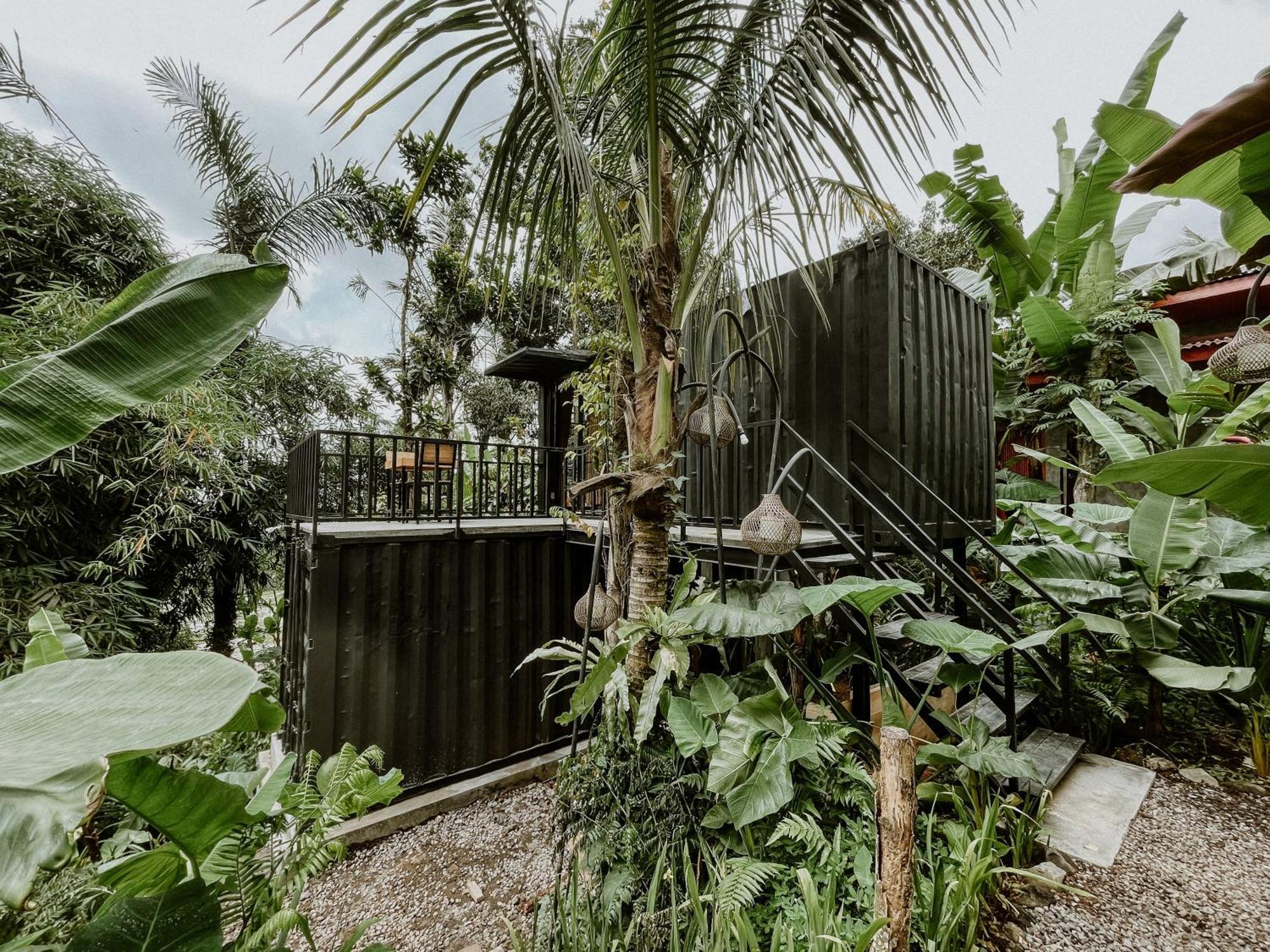 Daydream Lodge Tampaksiring Екстер'єр фото