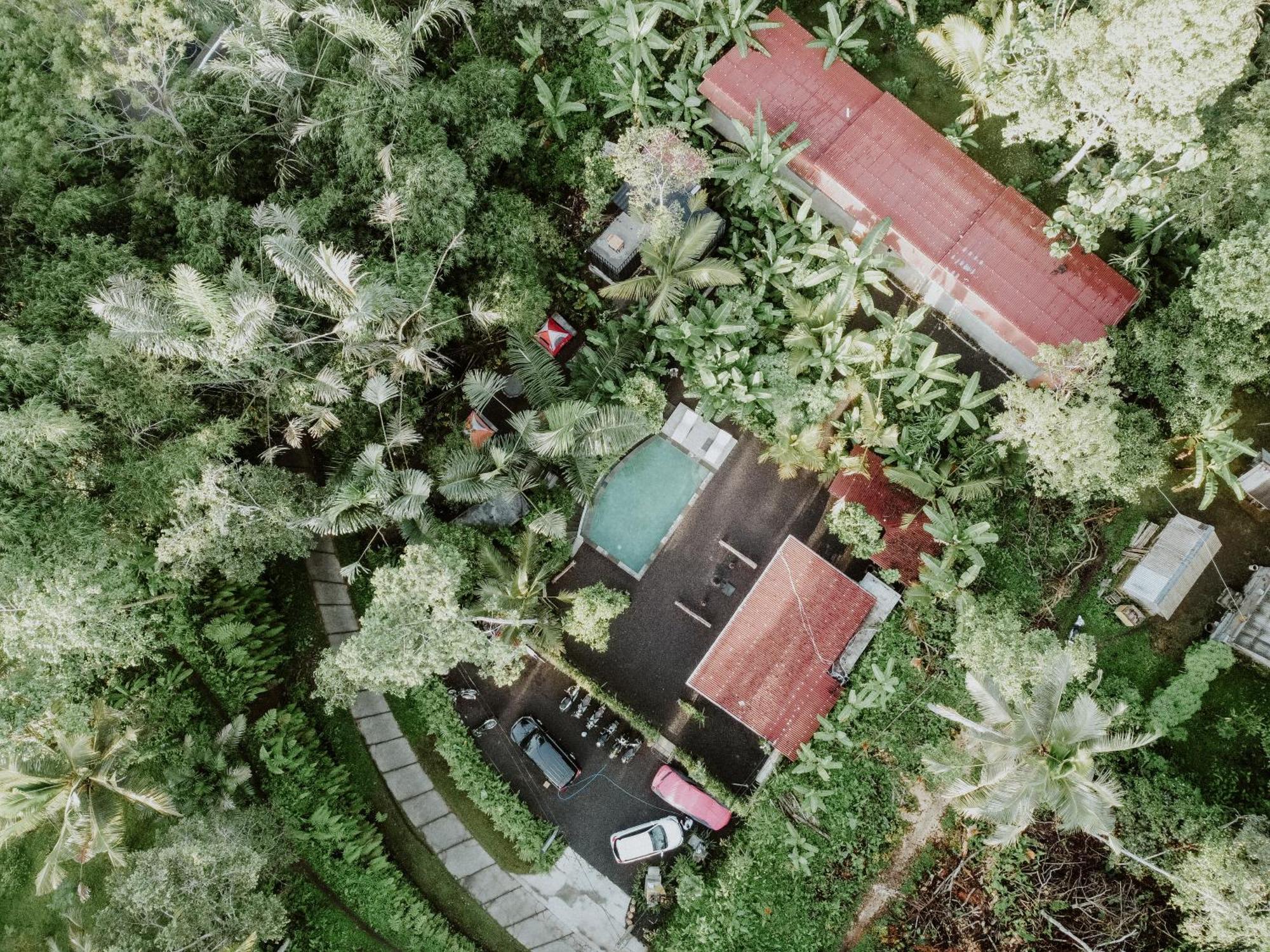Daydream Lodge Tampaksiring Екстер'єр фото